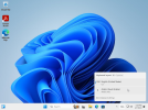 Windows 11 x64-2024-02-07-17-29-17.png
