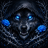 BlackThornWolf26